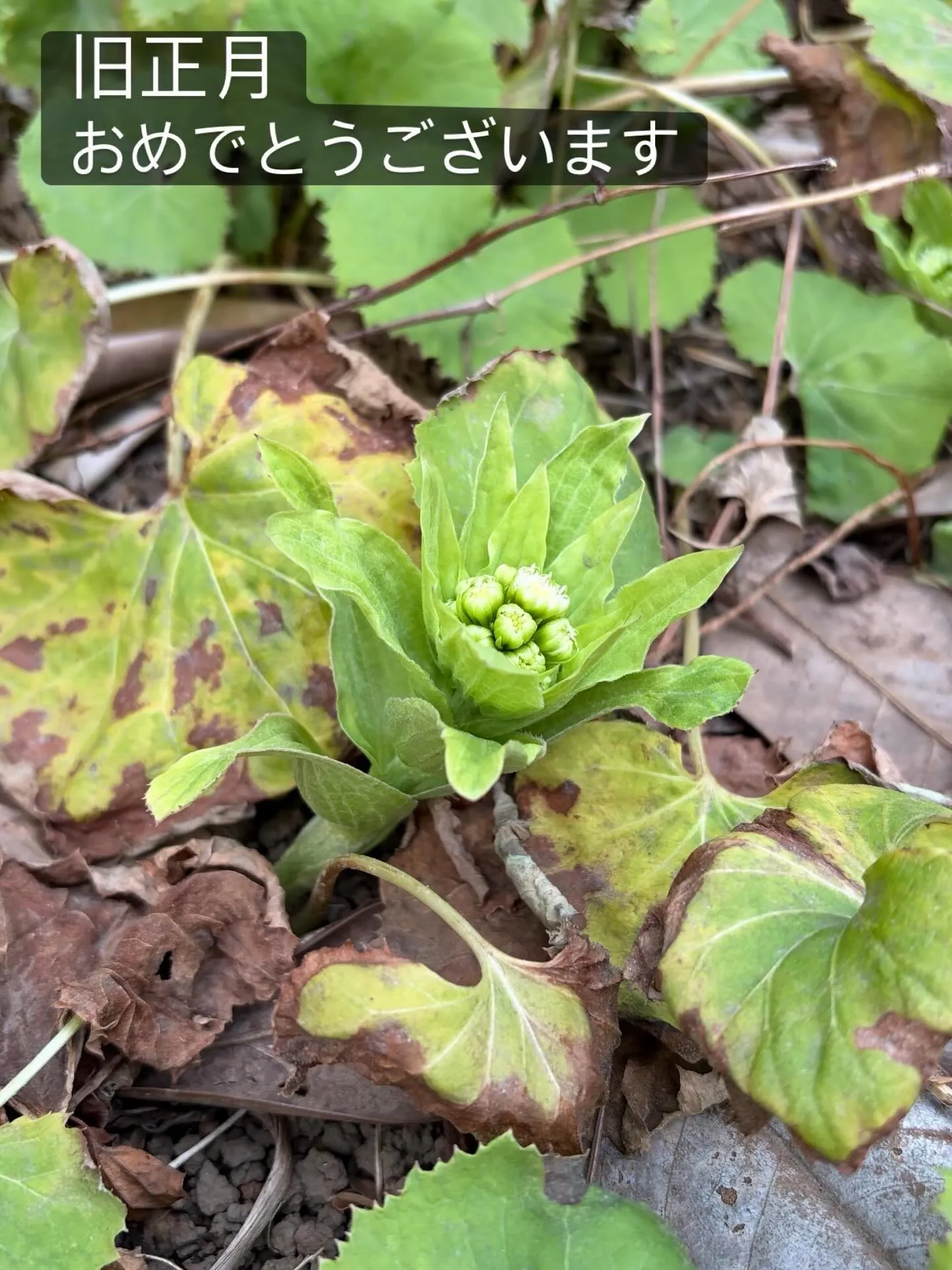 【2/28地球人倶楽部時間変更&バージョンアップのお知らせ】