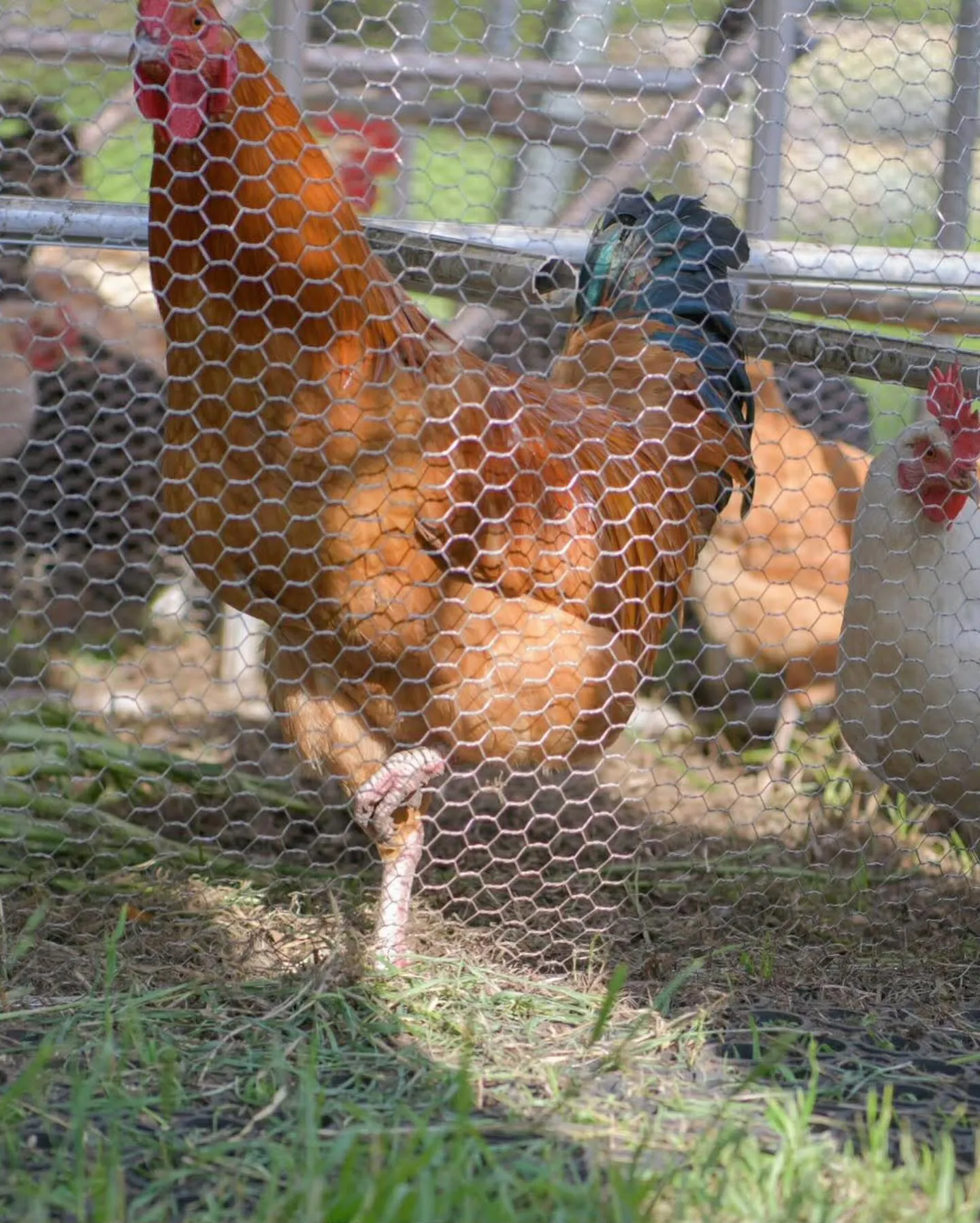 今年も開催決定！！🎉