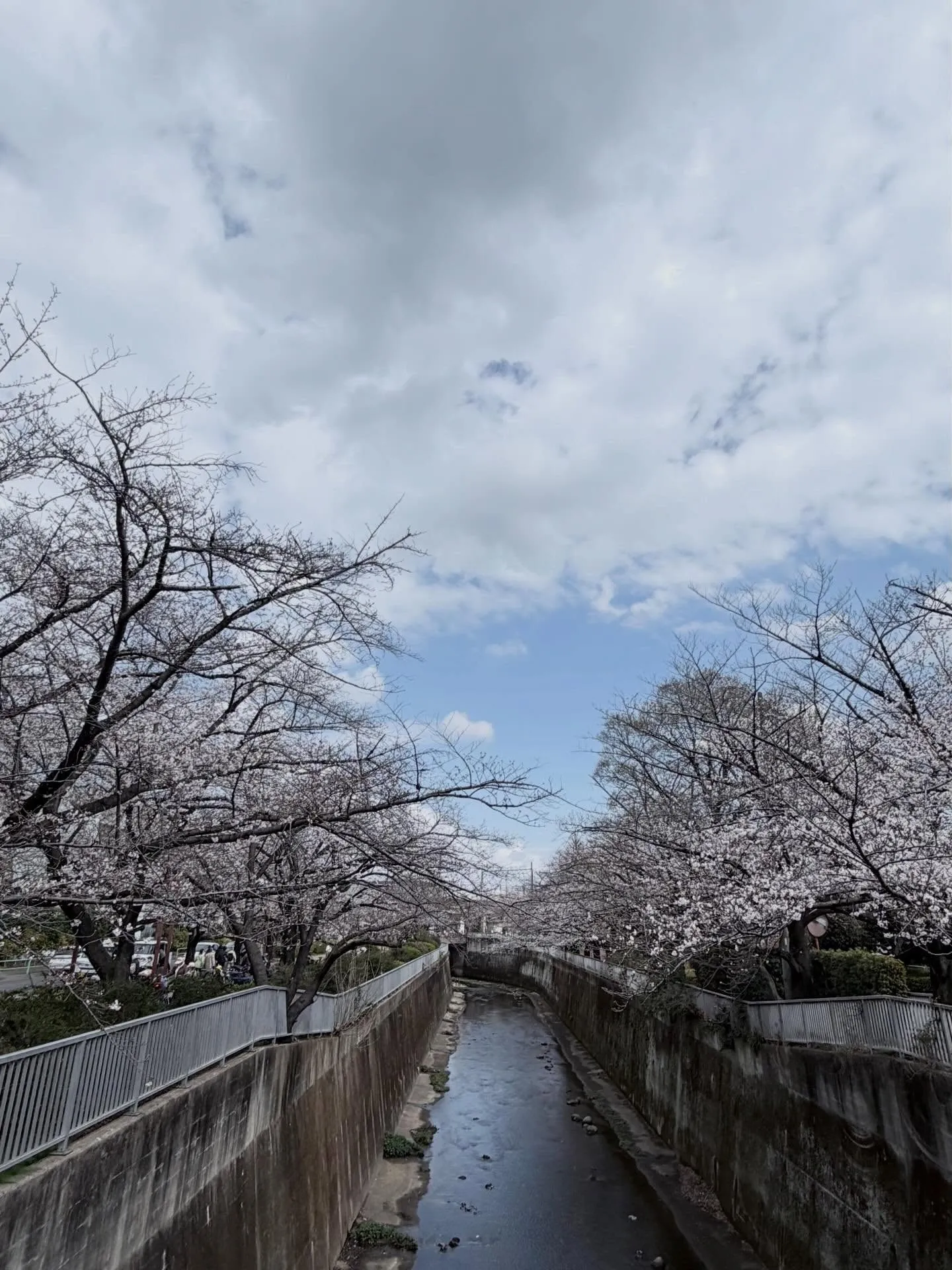 【地球人倶楽部2026年3月28日開催！】
