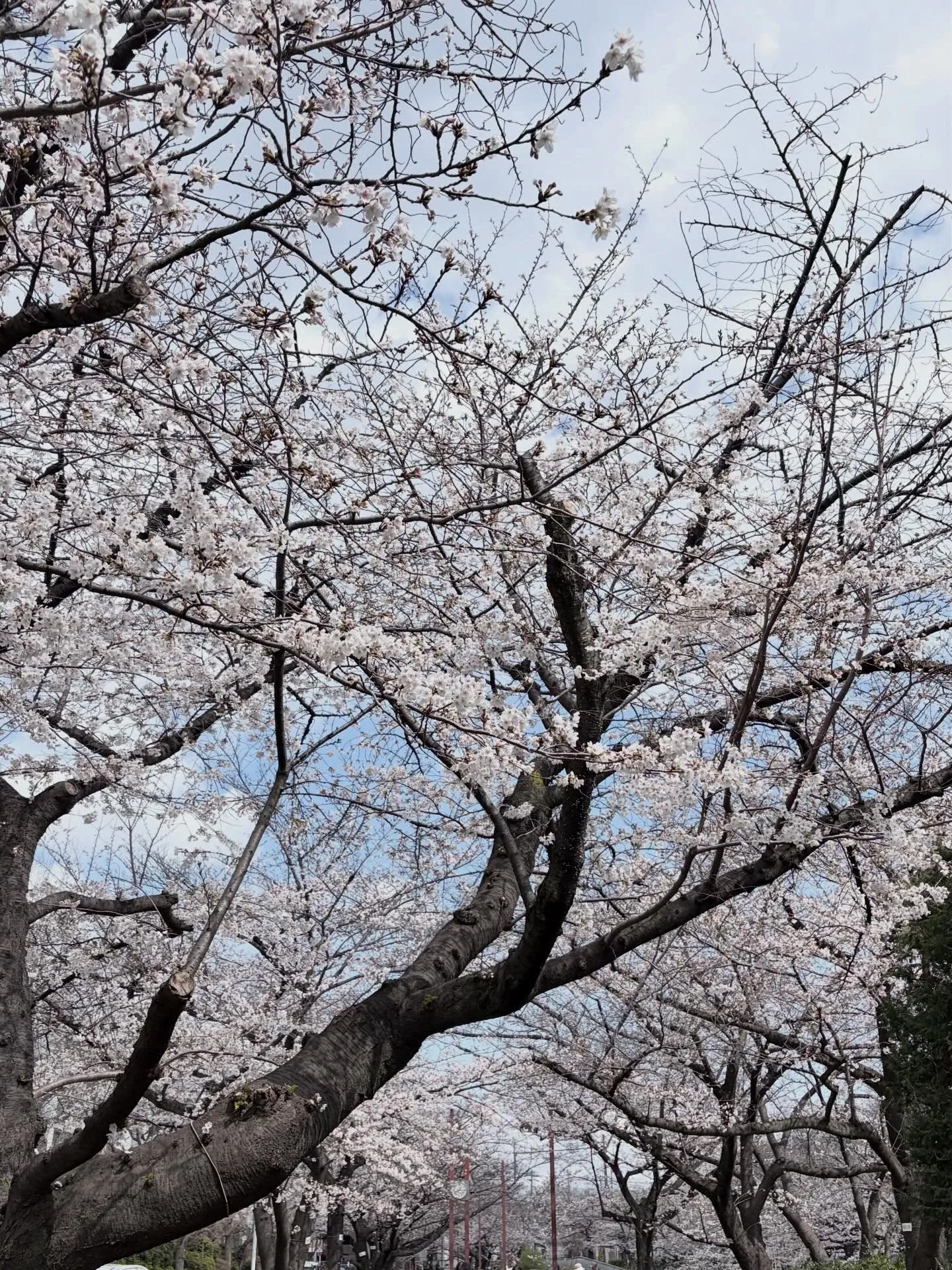 【地球人倶楽部2026年3月28日開催！】