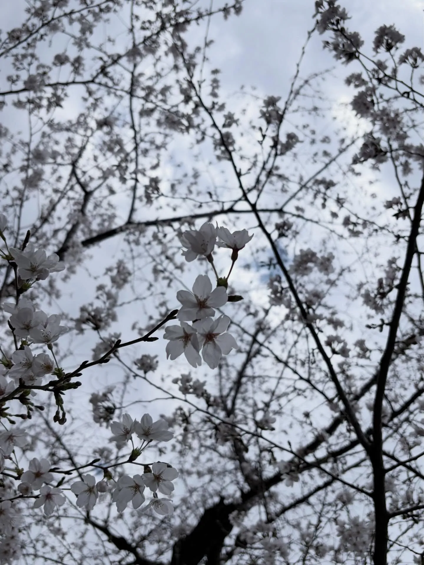 【地球人倶楽部2026年3月28日開催！】