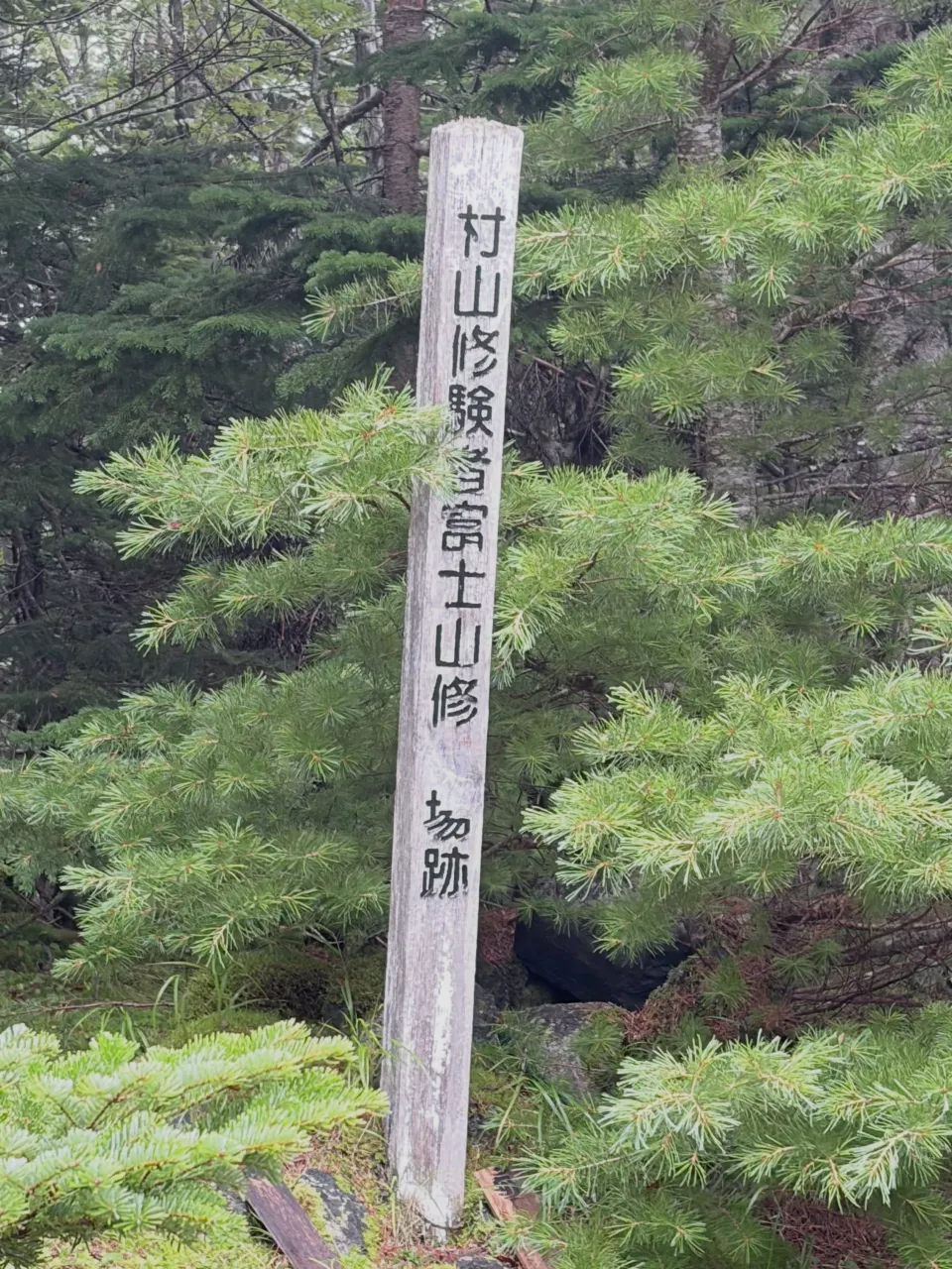 【三禅定|富士山裸足登拝2026】