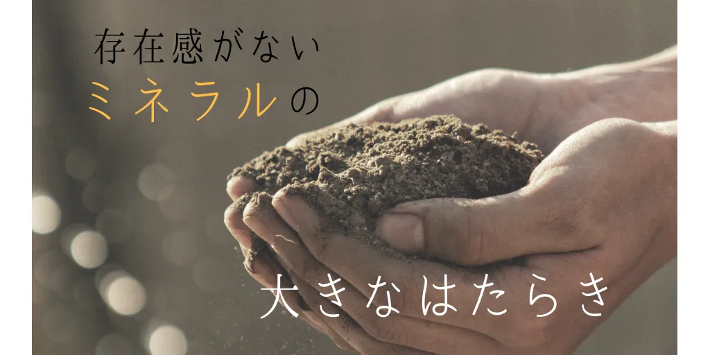 存在感のないミネラル、実は大きなはたらきをしています | あおいだより | 東京練馬の漢方ならあおい薬局